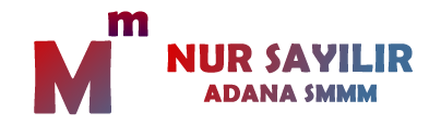 Adana Smmmo Nur Sayılır Mali Müşavir